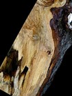 Xl Mind Blowing Ambrosia Red Maple Maple Burl Wood Slab  Epoxy Wood Craft Wood 