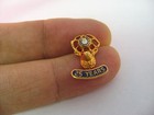 Nice Look Bpoe Benevolent Protective Order Of Elks 25 Years Pin