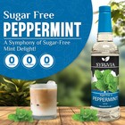 Syruvia Sugar Free Peppermint Syrup 25 4 Fl Oz  For Coffee  Drinks    More