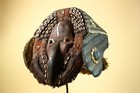 African Dan Mask Carved Wood Bird Beak Cowrie Trim C  te D   ivoire Decor-g5987