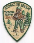 Variation Smokey The Bear Patch Prevent Forest Fires Please Be Careful Vintage