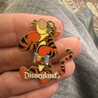 Disney Official Pin Trading 2002 Tigger Single Pin Disney Franchise Collectible