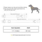 Personalized Breakaway Pet Cat Collar Puppy Kitten Name Tag Engraved With Bell