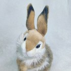 Hansa Plush 12 Inch Baby Bunny Carmel Stuffed Animal Toy Rabbit 