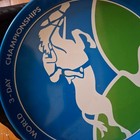 1978 Lexington Kentucky World Championship Event Horse Racing Trays Lot Of 7