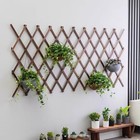 Expandable Garden Trellis  Trellis For Climbing Plants Outdoor  Wooden Lattice 