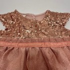 Build A Bear Dress Rose Gold Sequin Glitter Tulle Ruffle Teddy Clothes Outfit