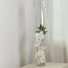31  Tall Clear Cylindrical Glass Vase Wedding Party Events Home Centerpieces