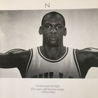 Vtg 1989 Michael Jordan Chicago Bulls Nike Wings William Blake 62  X 21  Poster