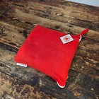 Air Canada Red Travel Comfort Kit  partial Set  Blanket   Earplugs