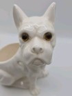 Vintage Mid Century Bulldog Planter 1986 Rare Piercing Eyes White