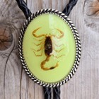 Scorpion White Glow In The Dark And Silver Oval Cowboy Bolotie Western Bolo Tie