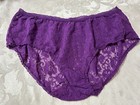 Vtg Unbranded 13j001x Beautiful Sheer Floral Stretch Lace 2x Plum Panties  60