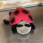 Cloud B Ladybug Twilight Projector Red Black Plush Hard Shell Nightlight Stars