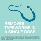 Elanco Tapeworm Removal Dewormer For Cats  3 Tablets Praziquantel   single