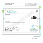 Mike Tyson Signed Black Boxing Glove