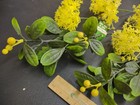 9 Stems 1960s Vintage Plastic Retro Flowers   Greenery-mistletoe   Babies Breath