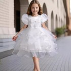 Kids Flower Girls Layered Tutu Dress Christmas Pageant Formal Prom Party Gown