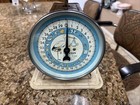 Vintage Hanson Nursery Scale 30 Lb Model 3025 Made In Usa Tested Working