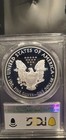 Perfection  2019-s Pcgs Pr70dcam Silver Eagle Limited Edition Proof Set