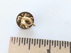 Tiny Turtle Lapel Pin Gold Toned Metallic