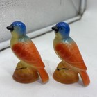Tropical Birds Parrot Ceramic Salt   Pepper Shakers Vintage 3x2    Occupied Japan