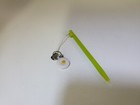 New Light Green Stylus With Daisy Flower For Nintendo Ds Lite   Dsi   Dsi Xl