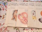 30 Issue Lot Of 1950s  To1980 s Ciba  clinical Symposia  Medical Bulletins