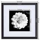 12x12 Picture Frame -black - Display Pictures 8x8 Photo With Mat -gallery Square