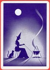 No  11 - The Fox Vintage 1960 s Gypsy Witch Fortune Telling Uspcc Playing Card