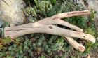 Large Driftwood Manzanita Aquascape Aquarium Terrarium  Bonsai Reptile 22 