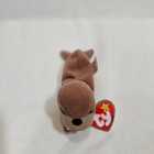 Ty Teenie Beanie Babies Tusk The Walrus Plush Toy With Tag
