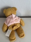 Avon Breast Cancer Crusade Teddy Bear Bean Bag Plush Stuffed Animal Toy 2001 6   
