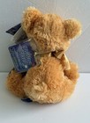 Russ Berrie Shining Stars Honey Bear Soft Plush  Teddy Bear New Sealed Code