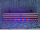  Chauvet Dj Colorstrip Rgb Led Linear Wash Light 2020 - Black