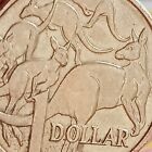 Rare Australia 1984 1 Dollar  Perfect Coin  queen Elizabeth Ii