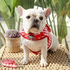 Dog Cat Harness Leash Set Small Pet Vest Denim Union Jack Puppy Kitten