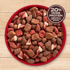 Triple Steak Flavor High Protein Dry Dog Food 40 Lb Bag For Large Breeds