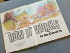 Walt   s Disney How It Works In The Country 159 Page Vintage Book 1982 Vgc