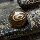 Tibetan Nepalese Himalayan Ancient Agate Old Dzi Talisman 1 Eye Bead Amulet 2