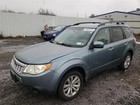 Forester  2011 Antenna 355867