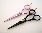 Professional Hair Scissors Hairdressing Scissors Barber Shears Presentation Case