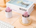 Set Of 2 Succulents Plants Artificial Mini Fake Succulents Plants For Office Des