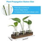 Plant Propagation Stations Glass Vases With Wooden Tray 3 Bulb Flower Vase