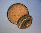 Lincoln  Cent    multi-struck  85  Off Center    capped Die Reverse    us Error Coin