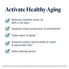 2 Pack Lifevantage  Protandim Nrf2 Synergizer 60 Capsules -- Usa
