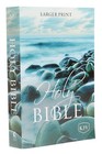 Kjv Holy Bible Large Print Paperback 10 5 Print
