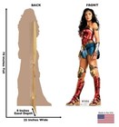 Wonder Woman 1984 Gal Gadot Lifesize Cardboard Standup Standee Cutout Poster New