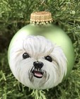 Maltese Dog Hand Painted Green 2 1 2    D Glass Ball Ornament - Adorable 