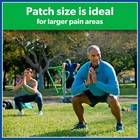 Salonpas Large Pain Relieving Patches  6 Count  For Multi-area Pain Relief